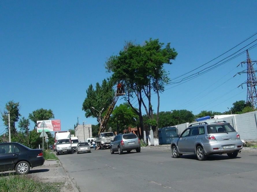 DSC08120_новый размер DSC08120_новый размер