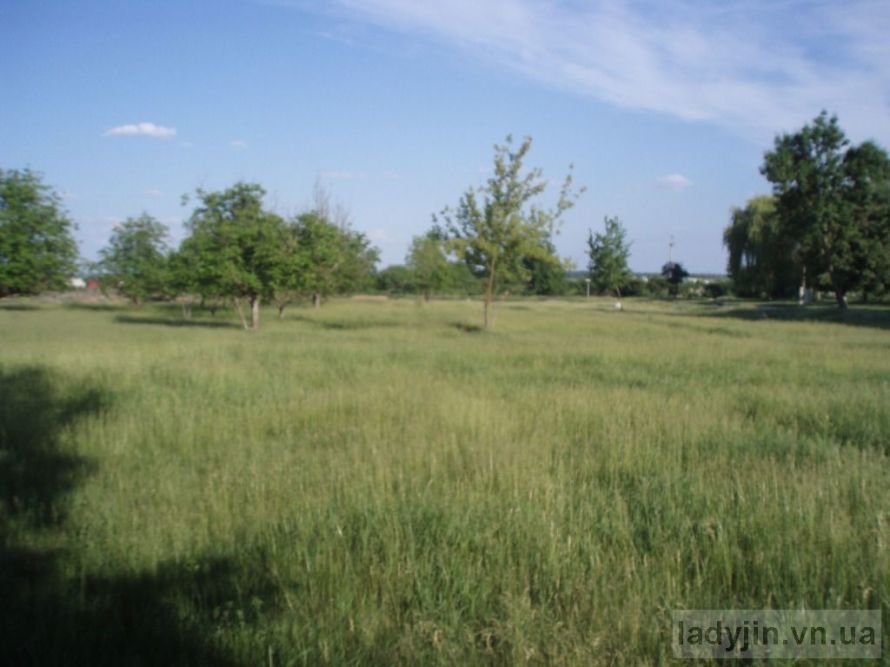 дендропарк1 дендропарк1