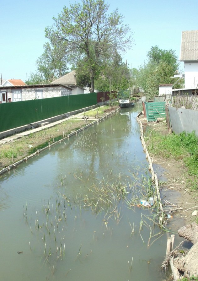 Дорога домой Дорога домой