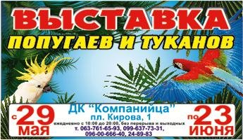 345х200пиксели 345х200пиксели