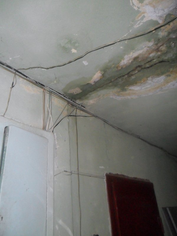 SAM_0037