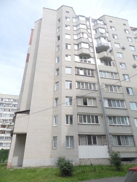 роженица4 роженица4