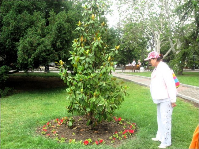 11-10153-image5750_big