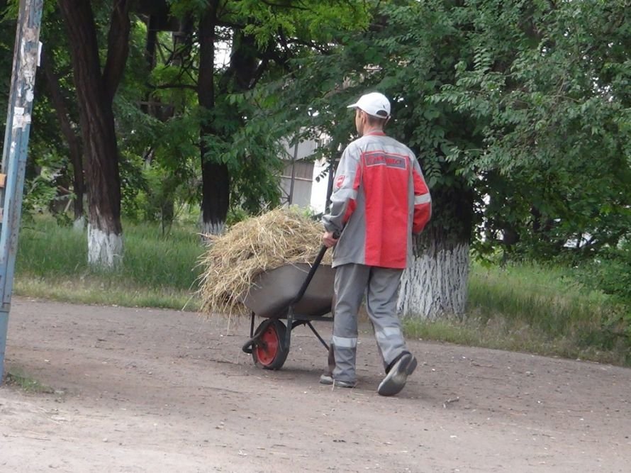 Янукович 17 Янукович 17