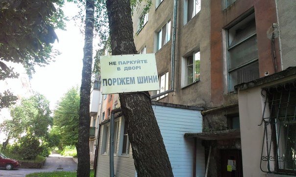 parkuvania33