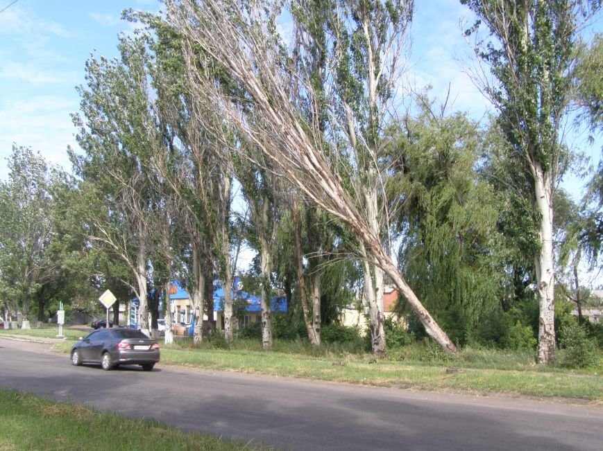 P6190754