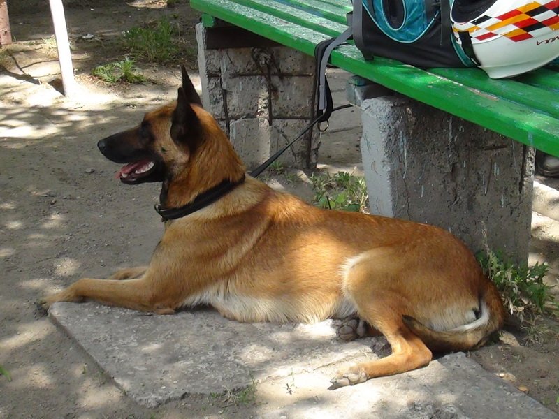 DSC01431_новый размер DSC01431_новый размер