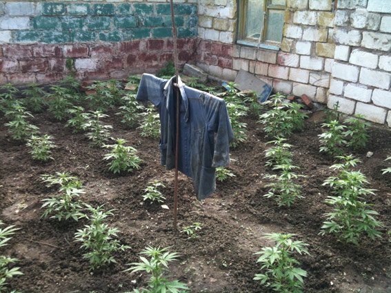 PM832image001