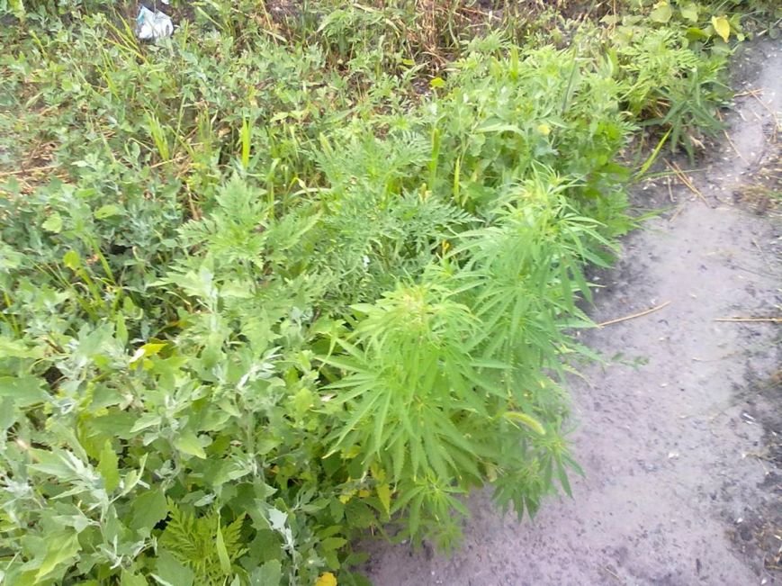 PM34image002