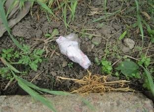image001
