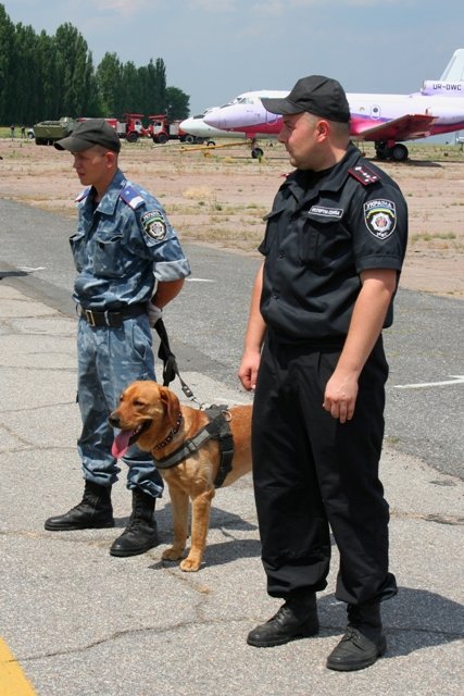 Кадр 093 Кадр 093