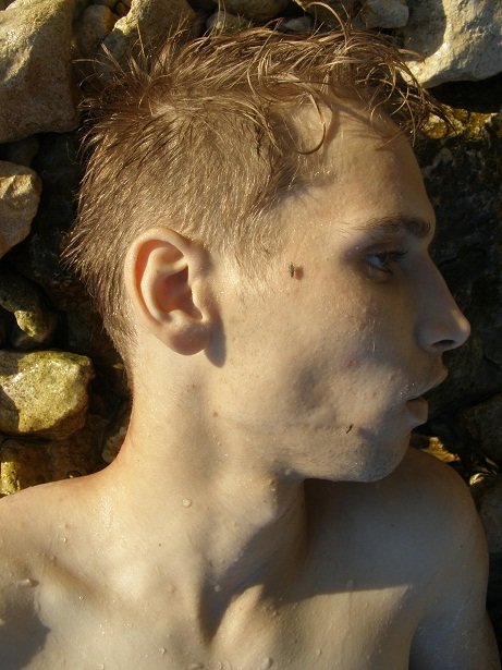 htmlimage