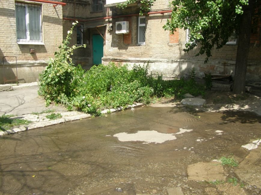 P7030935