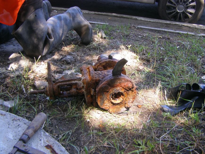 P7030941