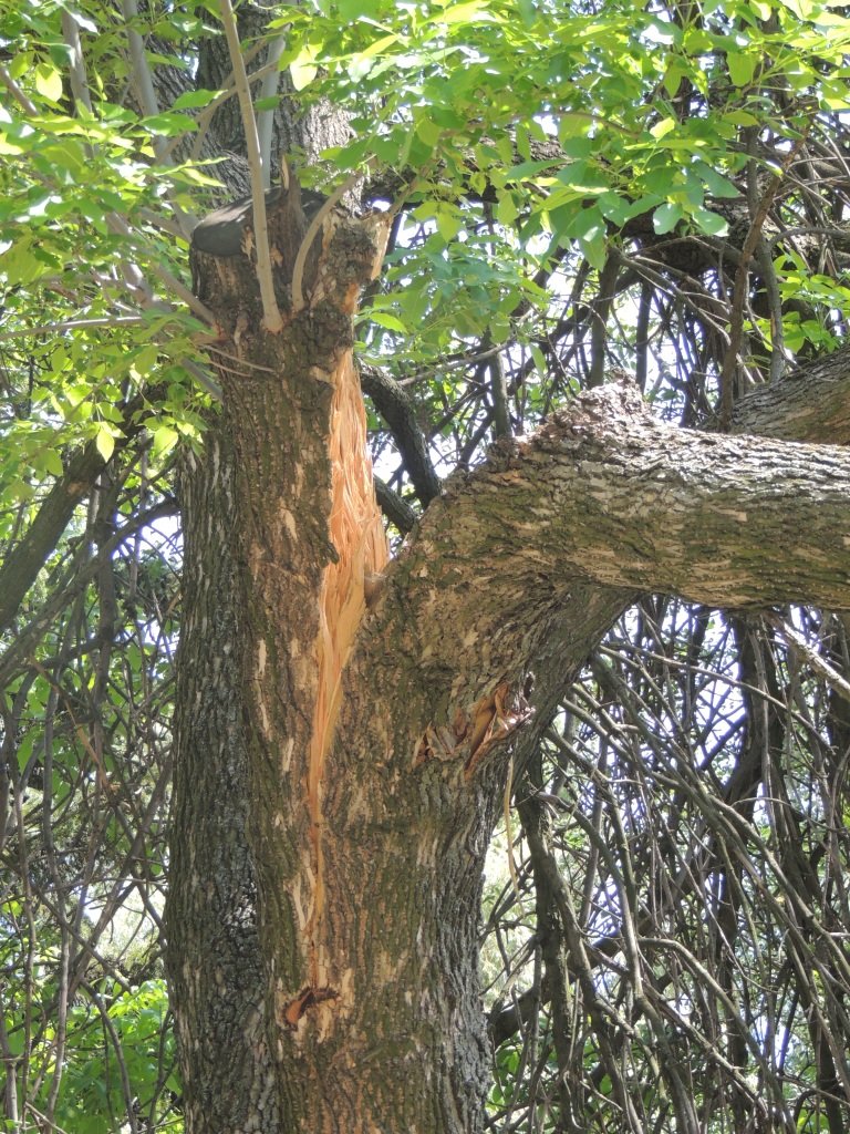 DSCN7659