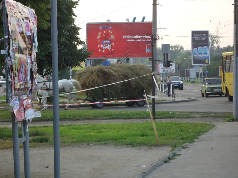 DSC00513