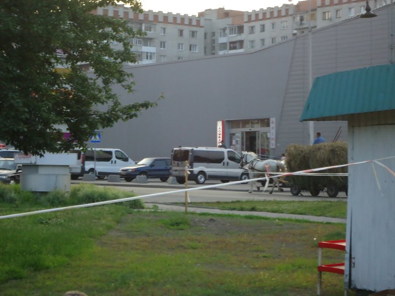 DSC00514