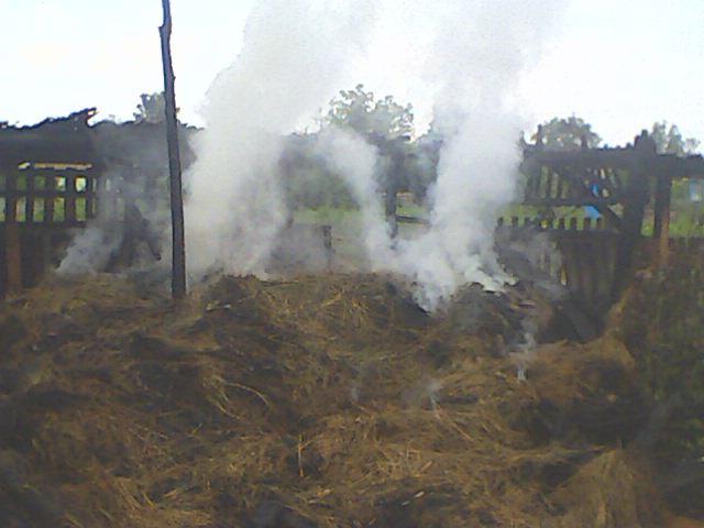 IMG0036A