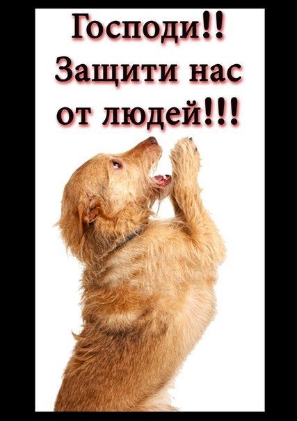 x_2c3f24fc