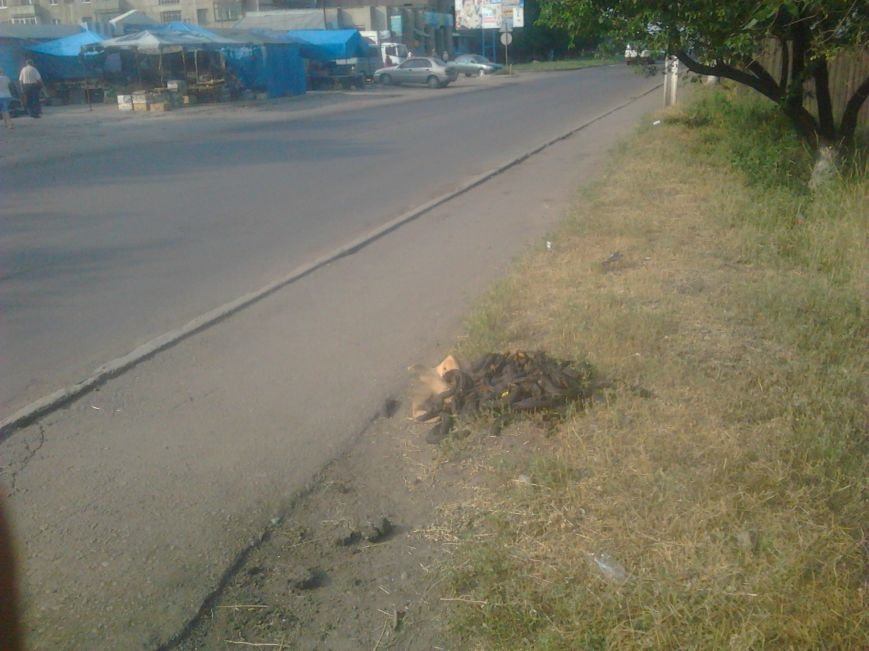 ”®в®0156 ”®в®0156
