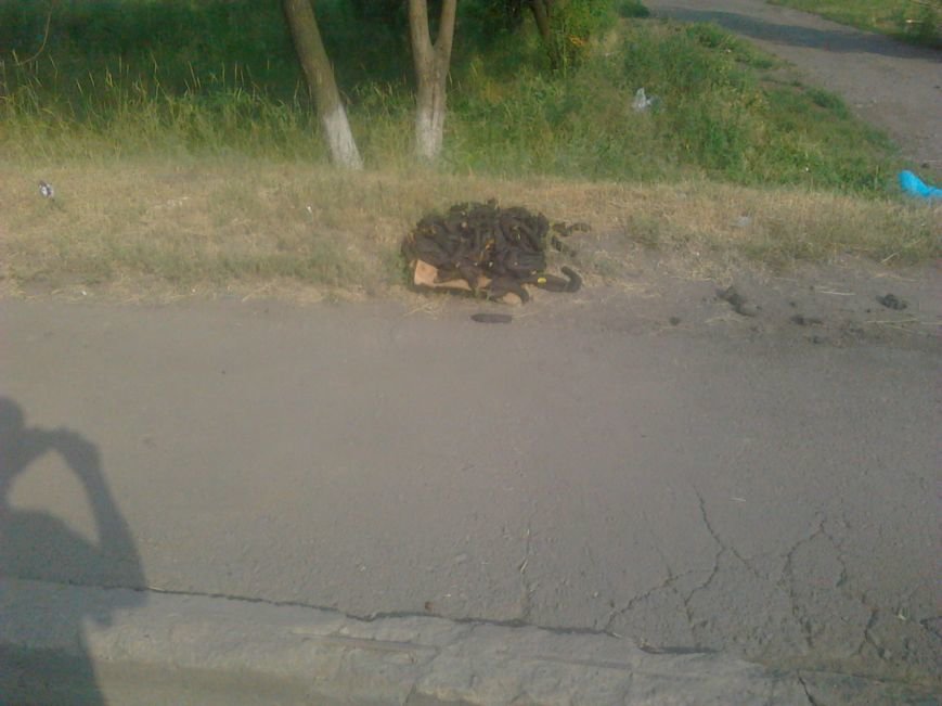 ”®в®0155 ”®в®0155