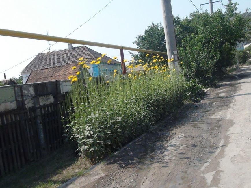 DSC04953_новый размер DSC04953_новый размер
