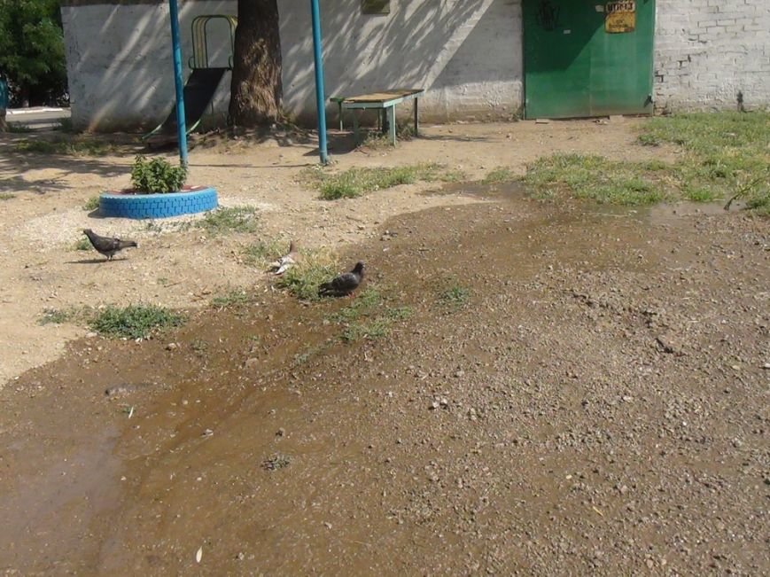 DSC04957_новый размер DSC04957_новый размер