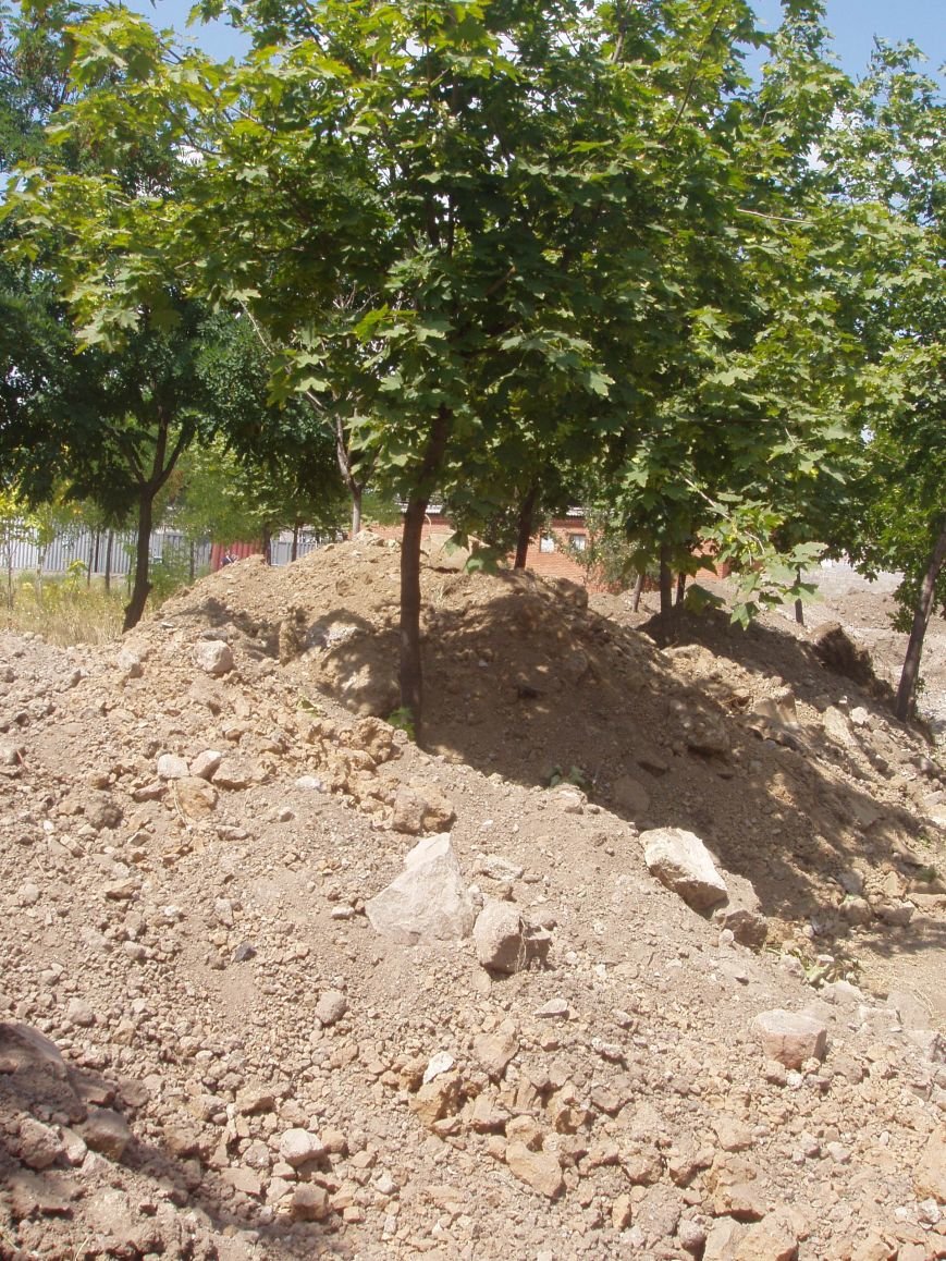 P1010005