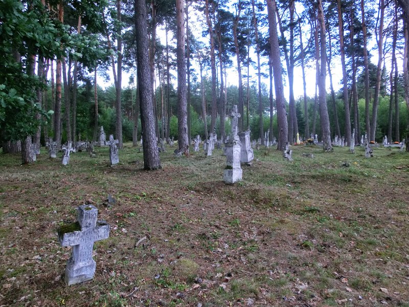 Кладовище в сел_ Гораєць 2 Кладовище в сел_ Гораєць 2