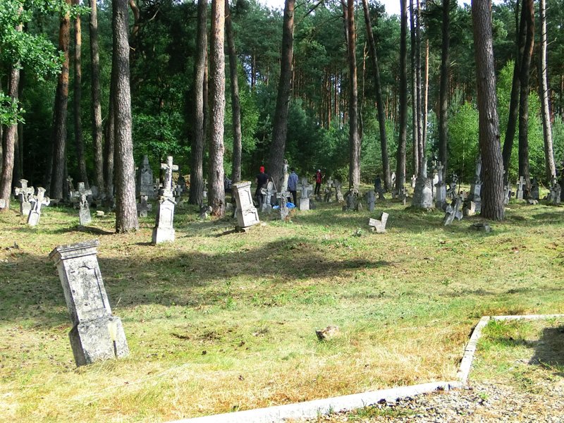 Кладовище в сел_ Гораєць 1 Кладовище в сел_ Гораєць 1