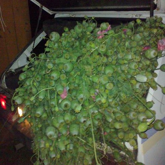 PM990image002