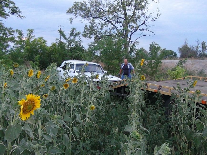 DSC05780_новый размер DSC05780_новый размер