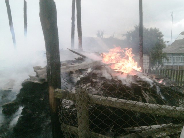 IMAG0014