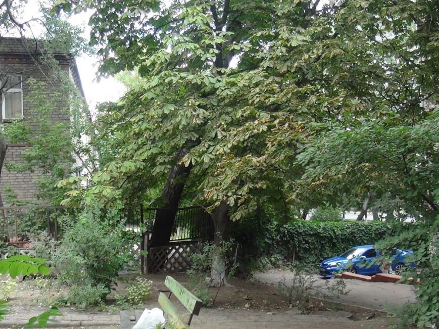 DSC05932_новый размер DSC05932_новый размер
