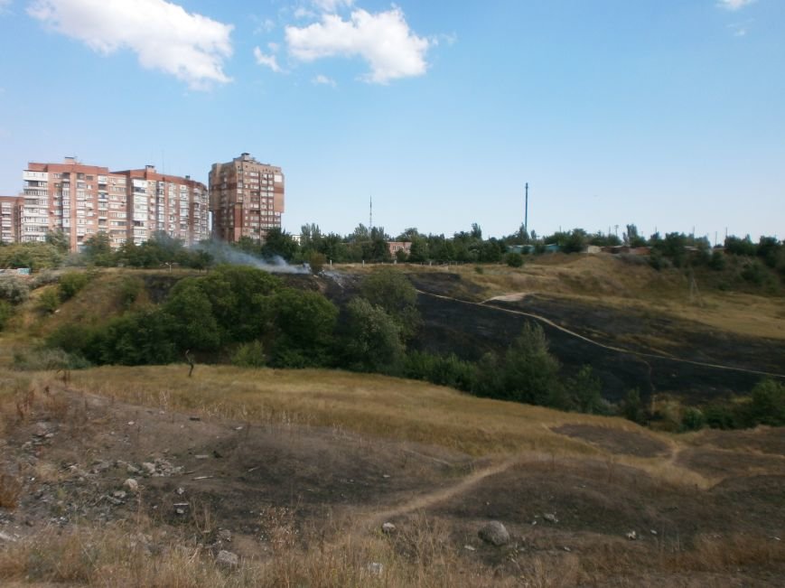 P7230334
