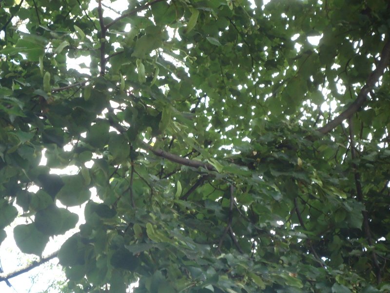 DSC00176