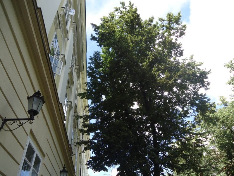 DSC00175