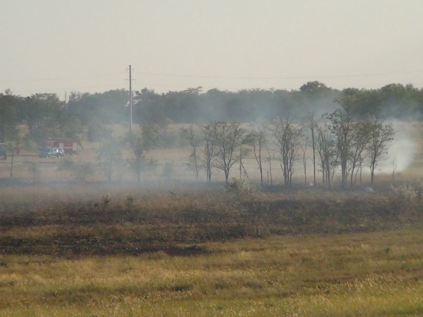 DSC06153_новый размер DSC06153_новый размер