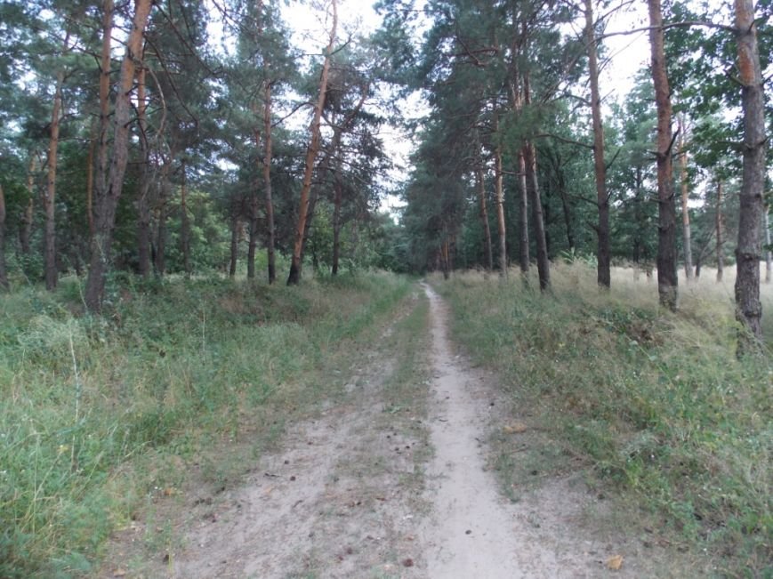 DSCN1919