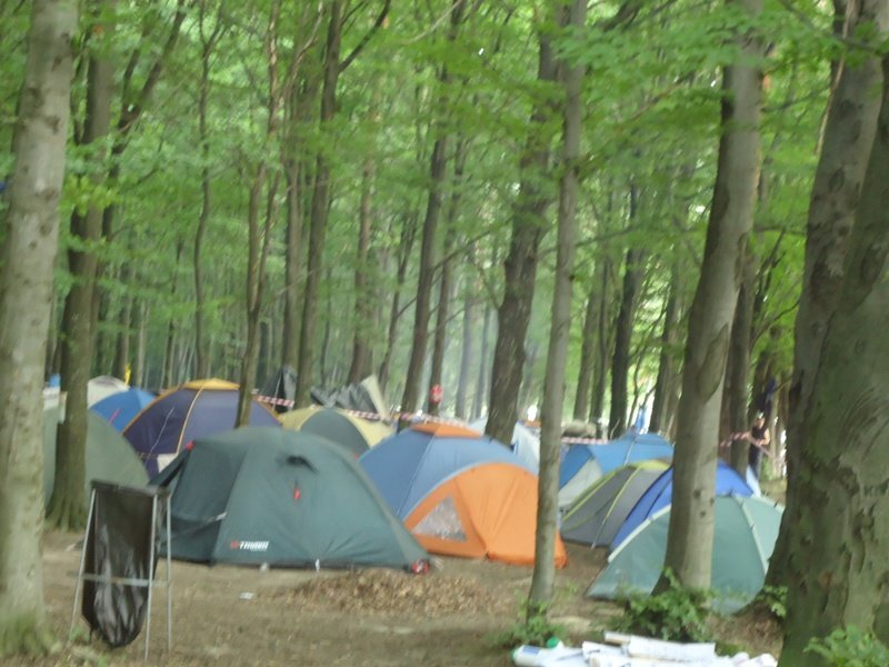 DSC00141