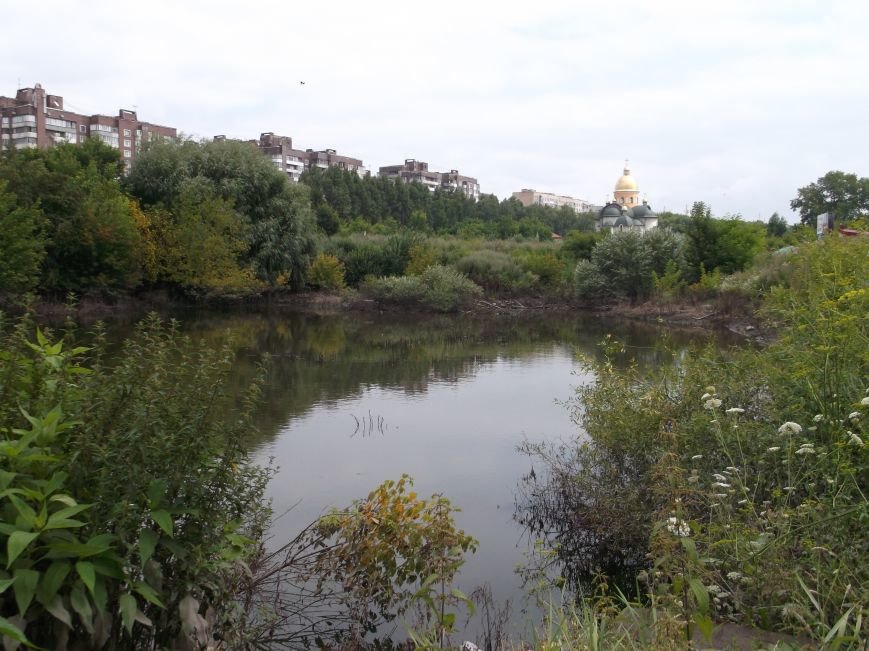 Сморід, величезна трава і … озеро – бомба повільної дії схована у Тернополі на вулиці Галицькій (фото, відео) (фото) - фото 4 Сморід, величезна трава і … озеро – бомба повільної дії схована у Тернополі на вулиці Галицькій (фото, відео) (фото) - фото 4