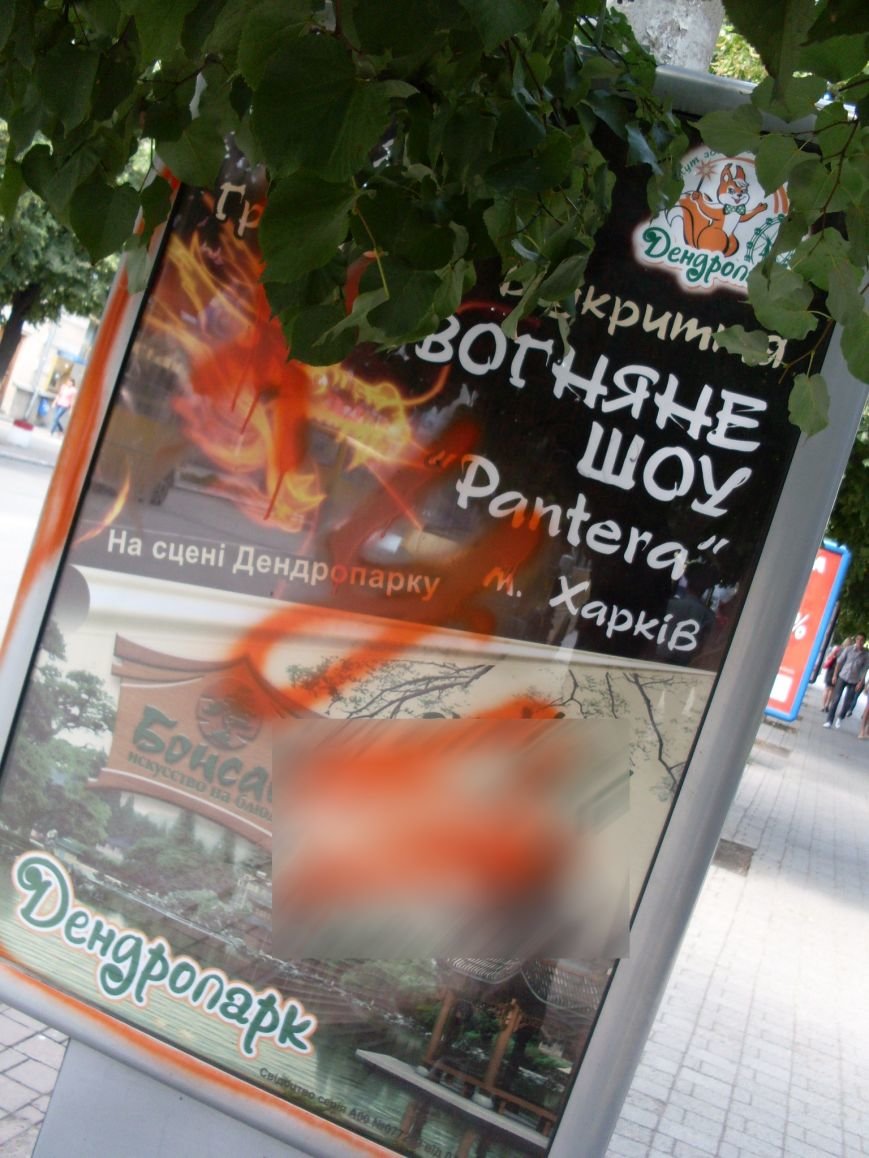 SDC11719