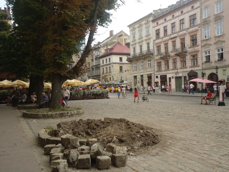 DSC03555
