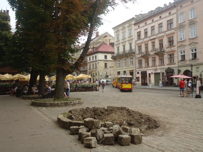 DSC03553