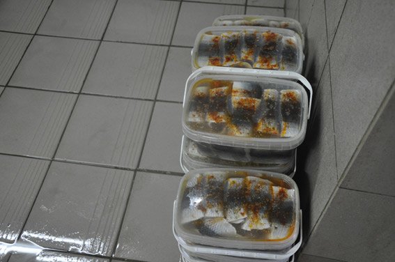 PM509image005