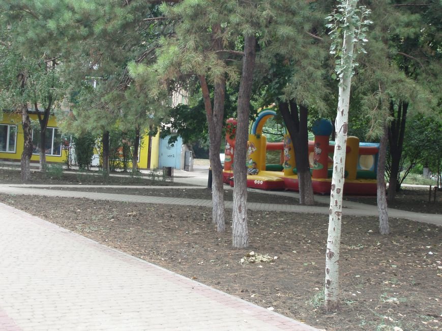 P8060811