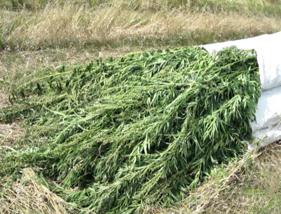о о