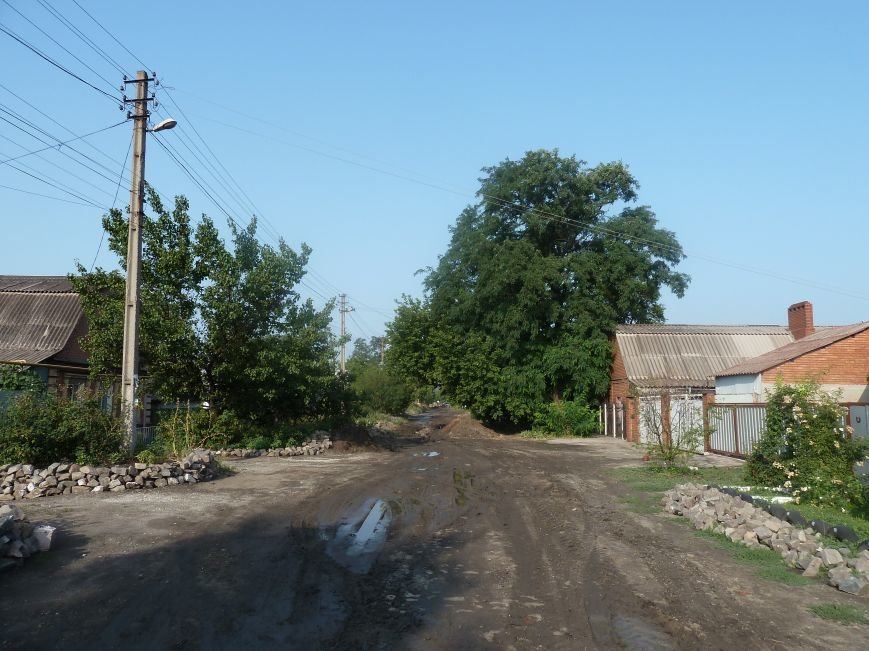 P1030841