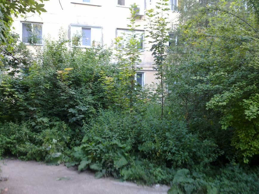 25072013620