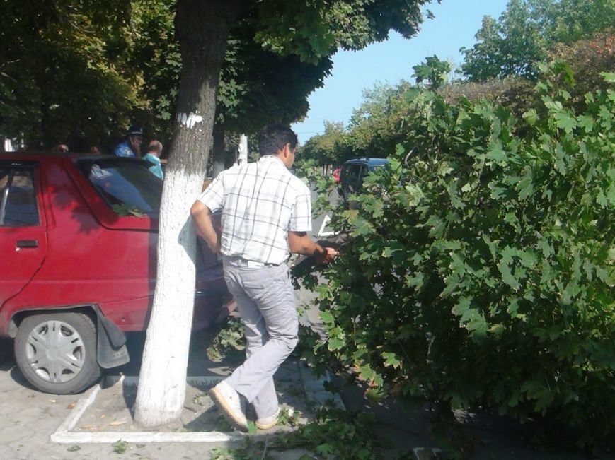 DSC08135_новый размер DSC08135_новый размер